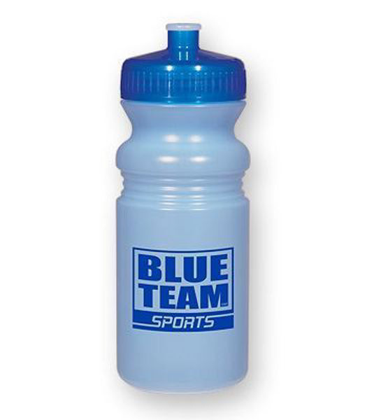 Picture of 5894 - Frosted Fitness Bottle